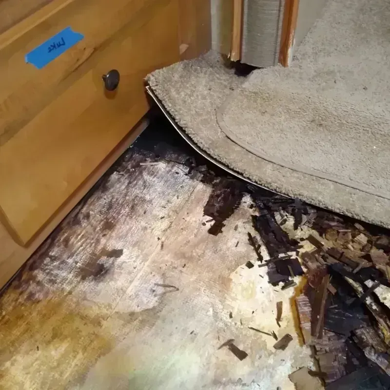 Wood Floor Water Damage in Assumption, IL